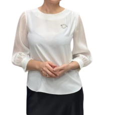 Chemisier femme classique avec manches longues