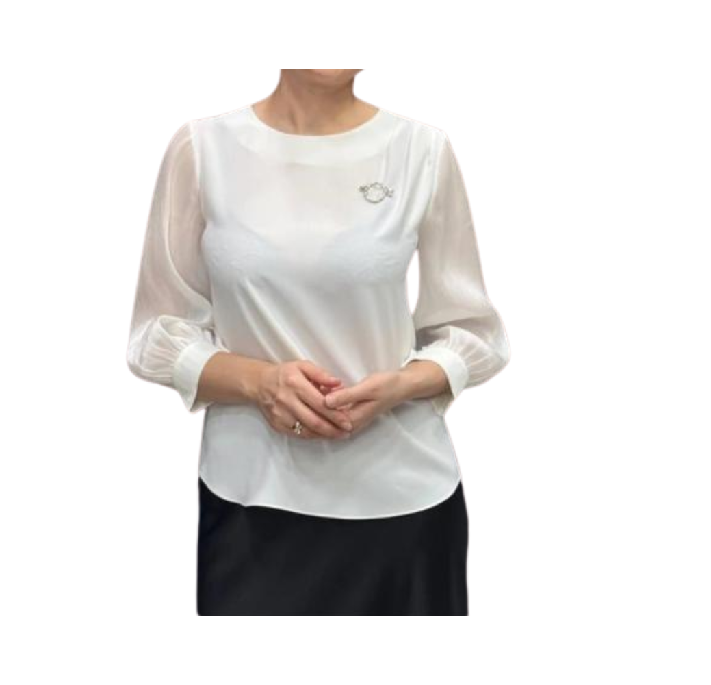 Chemisier femme classique avec manches longues