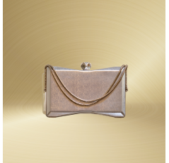 Petit sac de soirée pour femmes