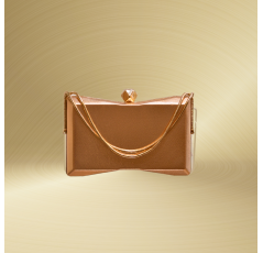 Petit sac de soirée pour femmes