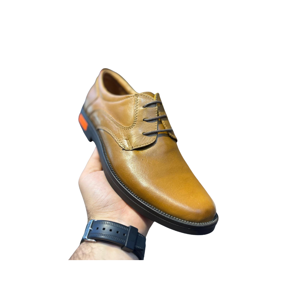 Chaussure classique marron