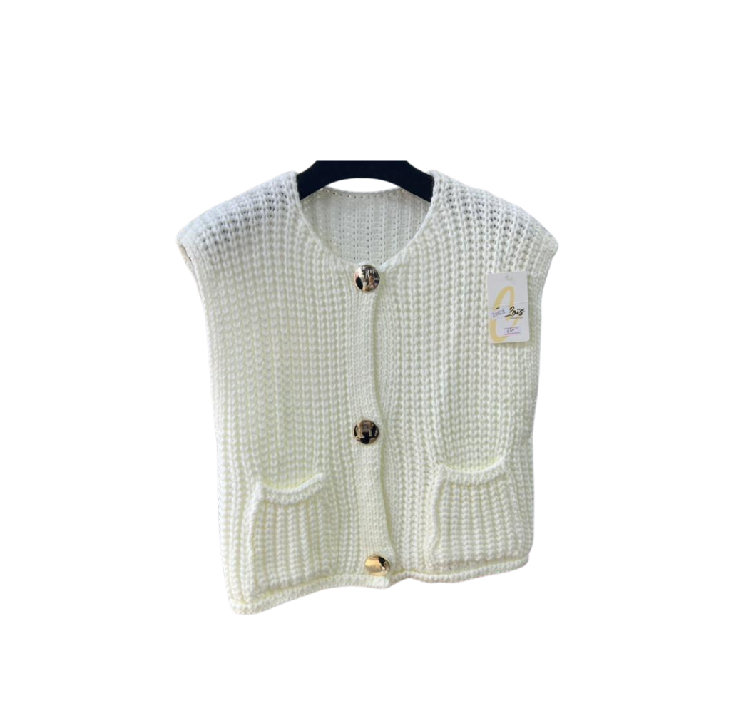 Gilet Hiver Élégant